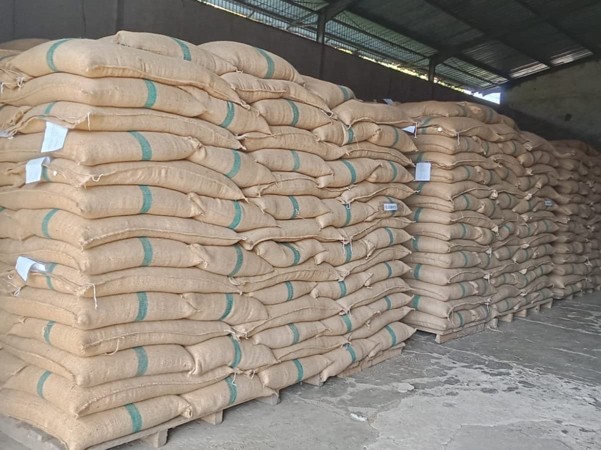 Warehouse Bandar Lampung