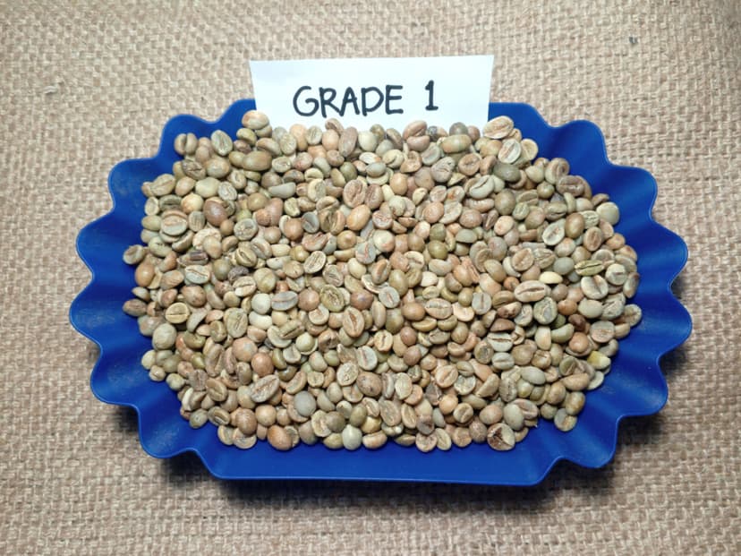 Indonesian Robusta Ek-1 Grade 1