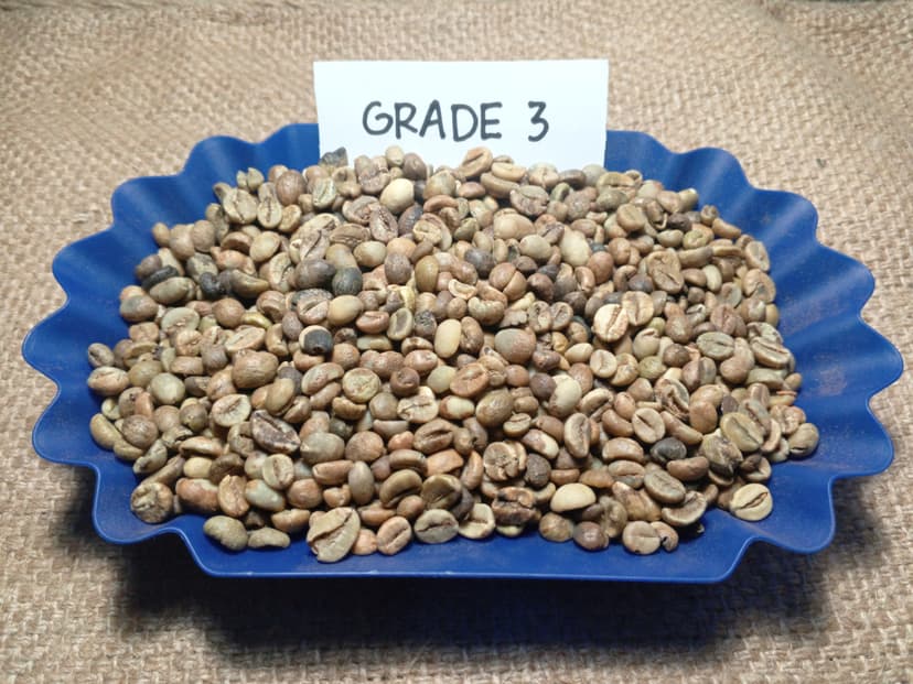 Indonesian Robusta Ek-1 Grade 3
