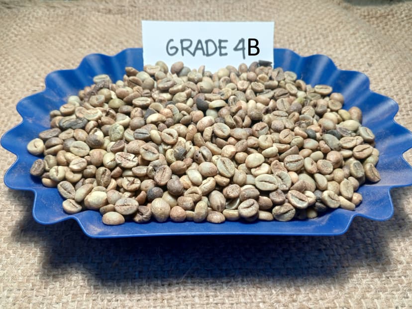 Indonesian Robusta Ek-1 Grade 4B